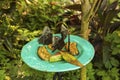 Closeup view of group of gorgeous butterflies eating fruits.