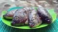 Closeup view of a group of nile tilapia on the plate ready to cook.