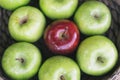 Closeup view of a healthy colorful green apples and one red apple in a basket and the tasty benefits of each. Be different Royalty Free Stock Photo