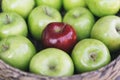 Closeup view of a healthy colorful green apples and one red apple in a basket and the tasty benefits of each. Be different Royalty Free Stock Photo