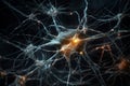 Closeup view of human neurons in brain and neuron connections in 3d illustration