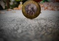 Closeup view of 10 INR coin.