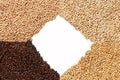 Closeup view of 4 kinds of Malt Grains. Ingredient for beer. Background texture. Ideal for commercial. Backdrop image. Empty