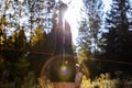 Woman practices mindful yoga in nature Royalty Free Stock Photo