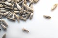 Closeup View of Lettuce Lollo Bionda, Verde, Seeds on White Background. Preparing for Planting, Gardening Concept