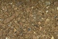 Closeup view of cork board Royalty Free Stock Photo