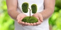 Closeup view of man with tree in shape of human kidneys against blurred background. Health care concept