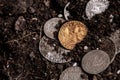 Closeup view of medieval European gold and silver coins.Old Polish coins.Zygmunt III Waza.Ancient gold and silver coins.