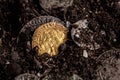 Closeup view of medieval European gold and silver coins.Old Polish coins.Zygmunt III Waza.Ancient gold and silver coins.