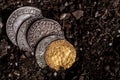 Closeup view of medieval European gold and silver coins.Old Polish coins.Zygmunt III Waza.Ancient gold and silver coins.