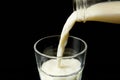 closeup view of milk pouring into glass from bottle isolated on blue background Royalty Free Stock Photo