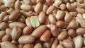 Closeup view of mixed, dried, roasted peeled and unpeeled peanuts