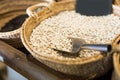 Closeup view on mongeta ganxet beans in baskets selling on shop Royalty Free Stock Photo