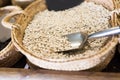 Closeup view on mongeta ganxet beans in baskets selling on shop Royalty Free Stock Photo