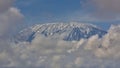 closeup view of mount kilimanjaro showing white snow capped uhuru peak from amboseli national park kenya Royalty Free Stock Photo