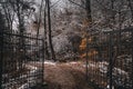 Closeup view of open gate in the forest Royalty Free Stock Photo