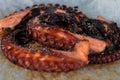 Closeup view over grilled octopus tentacles Royalty Free Stock Photo