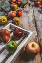 closeup view of pears, apples, wooden box, scissors, hand scales and kitchen towel Royalty Free Stock Photo