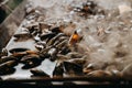 Closeup view of a pile of tasty oysters being cooked in a kitchen