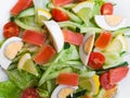 Closeup view of plate full of fresh green salad with mint leaves, yellow corn, tomato, tuna fish served with juicy lemon sauce. Royalty Free Stock Photo