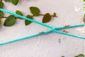 Closeup view of red ants on the blue-sky rope on white painted concrete wall. Wild nature near us or team work concept