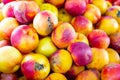 Closeup view on ripe nectarines on grocery store Royalty Free Stock Photo