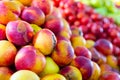 Closeup view on ripe nectarines on grocery store Royalty Free Stock Photo