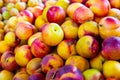 Closeup view on ripe nectarines on grocery store Royalty Free Stock Photo