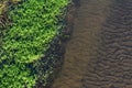 Closeup view of river bank. Green grass and sandy bottom through shallow water Royalty Free Stock Photo