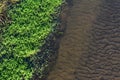 Closeup view of river bank. Green grass and sandy bottom through shallow water