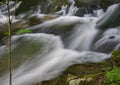 Closeup View of Roaring Run Creek, Jefferson National Forest, USA Royalty Free Stock Photo