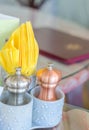 Closeup view of salt and pepper Royalty Free Stock Photo