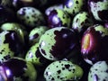 Closeup view and selective focus of fresh and raw pigeon peas Royalty Free Stock Photo