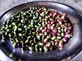 Closeup view and selective focus of fresh and raw pigeon peas Royalty Free Stock Photo
