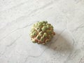 Closeup view and selective focus of fresh ripen custard apple on the floor