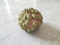 Closeup view and selective focus of fresh ripen custard apple on the floor