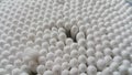 Closeup view of several cotton buds heads