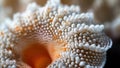 A closeup view of a single fungal spore its smooth surface covered in tiny bumps and ridges. The spore is surrounded by
