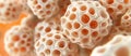 Closeup View Of Spherical Biological Structures Royalty Free Stock Photo
