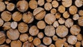 Closeup view of stacked pile of cut wood logs timber firewood with visible age ring texture in Black Forest, Germany. Royalty Free Stock Photo