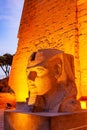 Closeup view the Statue of Pharaoh Ramses II Head Royalty Free Stock Photo