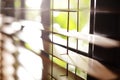 Sunlit horizontal window blinds