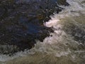 Closeup view of the surface of stream Wutach river in southern Black Forest, Germany with flowing water and spray. Royalty Free Stock Photo