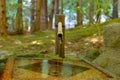 Closeup view of a tall Japanese bamboo water fountain Royalty Free Stock Photo