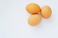 Closeup view of three brown eggs isolated on the white Royalty Free Stock Photo