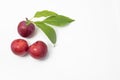 Three plums with leaves on white Royalty Free Stock Photo
