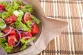 Closeup view on a transparent plate with fresh salad Royalty Free Stock Photo