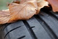 view on tread of high performance car tire with autumn leaves on profile - car tuning and maintenance concept Royalty Free Stock Photo