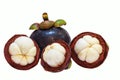 Closeup view of Tropical Fruit Mangosteens isolated on the white background