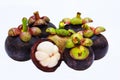 Closeup view of Tropical Fruit Mangosteens isolated on the white background